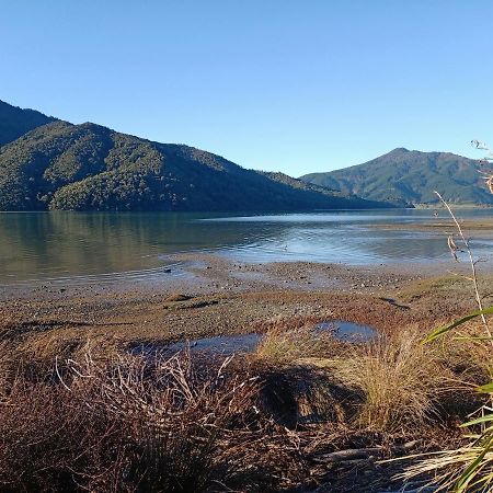 Marlborough Sounds Accommodation 792 Havelock Εξωτερικό φωτογραφία