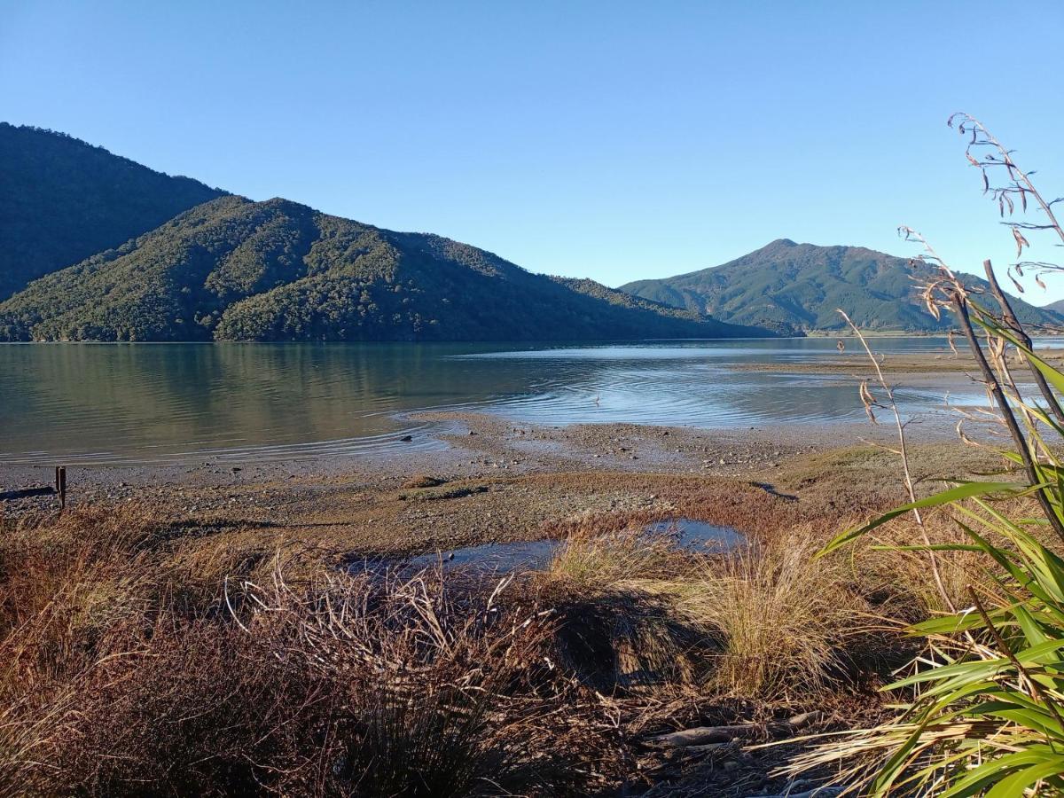 Marlborough Sounds Accommodation 792 Havelock Εξωτερικό φωτογραφία